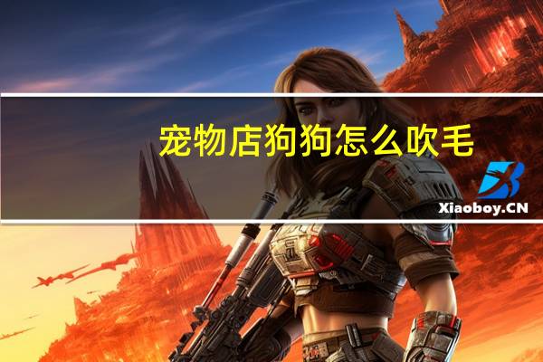 宠物店狗狗怎么吹毛