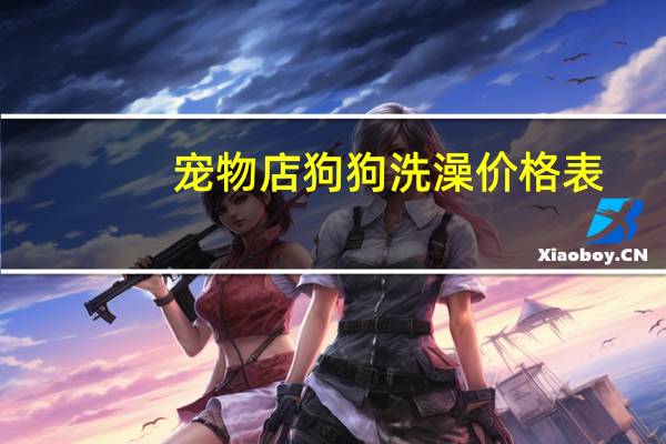 宠物店狗狗洗澡价格表