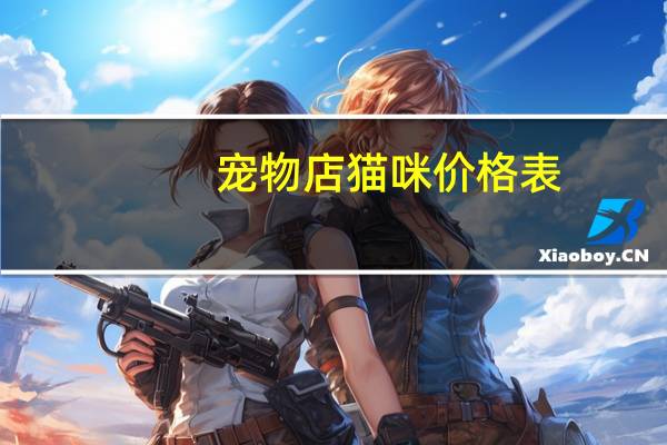 宠物店猫咪价格表