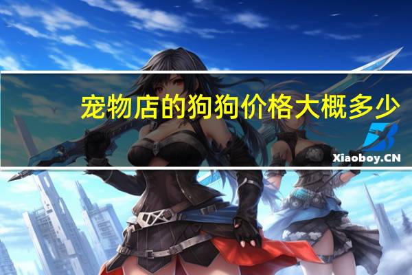 宠物店的狗狗价格大概多少