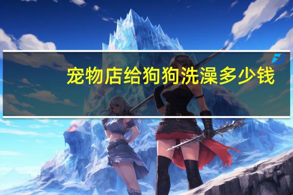 宠物店给狗狗洗澡多少钱