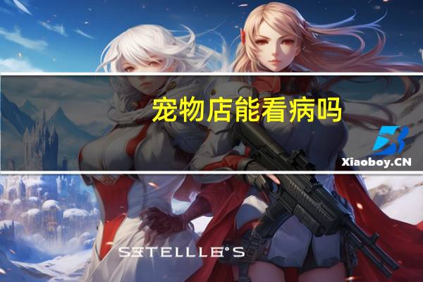 宠物店能看病吗