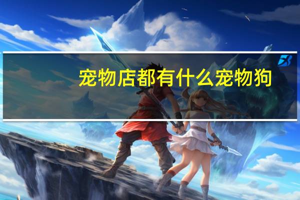 宠物店都有什么宠物狗