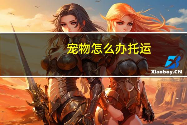 宠物怎么办托运