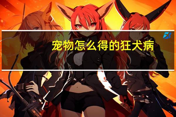 宠物怎么得的狂犬病