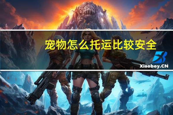 宠物怎么托运比较安全