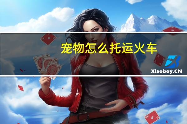 宠物怎么托运火车