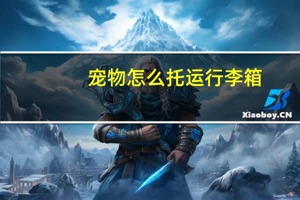宠物怎么托运行李箱