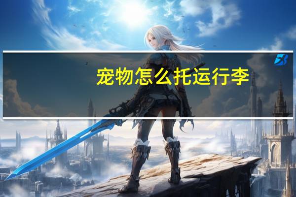 宠物怎么托运行李