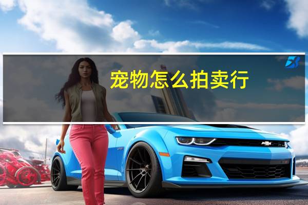 宠物怎么拍卖行