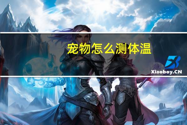 宠物怎么测体温