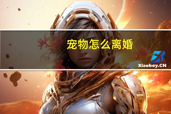 宠物怎么离婚