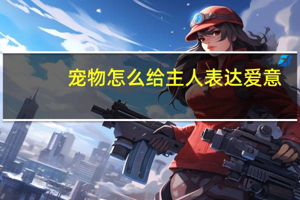 宠物怎么给主人表达爱意