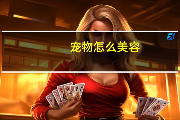 宠物怎么美容