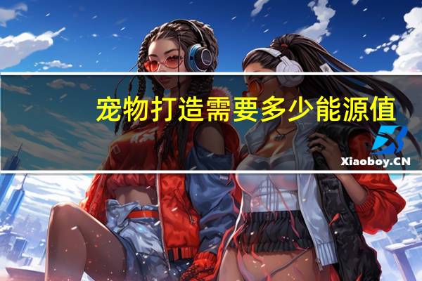 宠物打造需要多少能源值