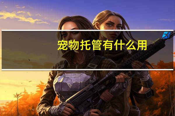 宠物托管有什么用