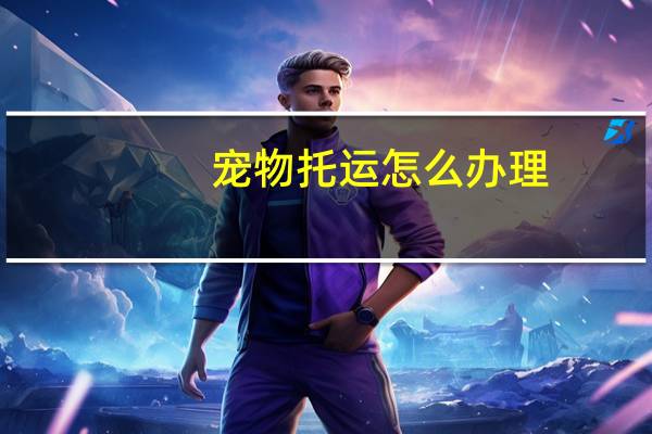 宠物托运怎么办理