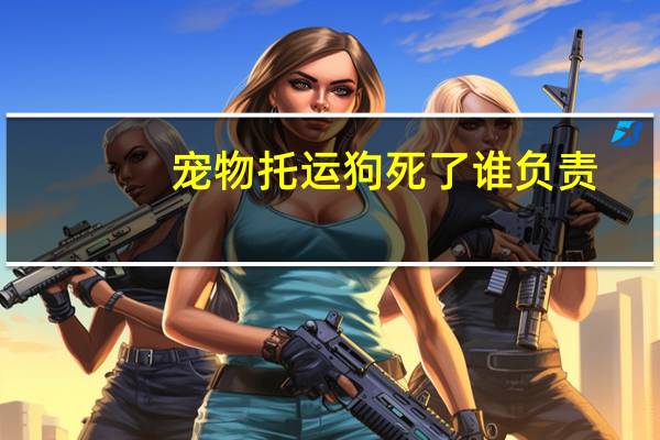 宠物托运狗死了谁负责