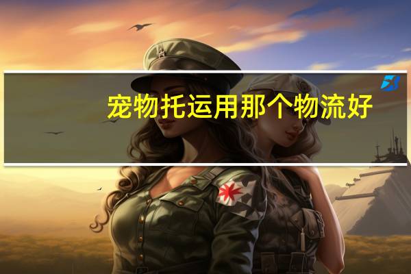 宠物托运用那个物流好