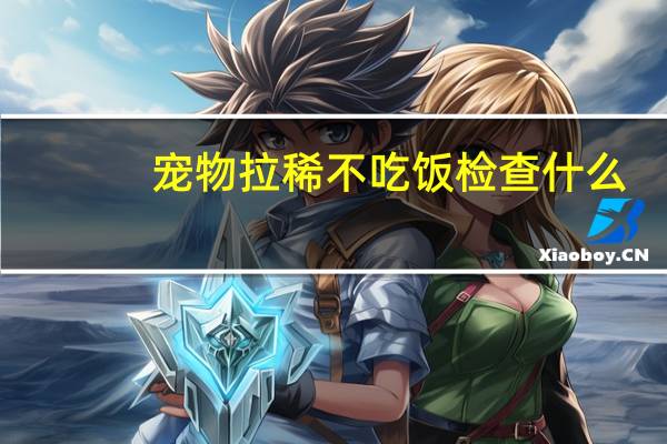 宠物拉稀不吃饭检查什么
