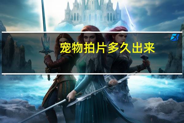 宠物拍片多久出来