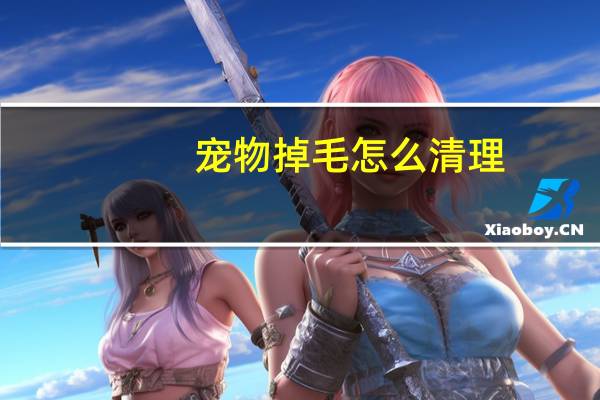 宠物掉毛怎么清理