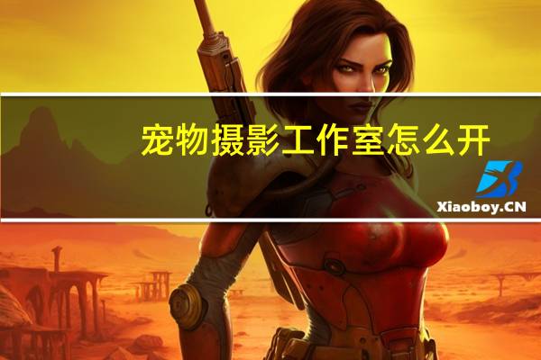 宠物摄影工作室怎么开