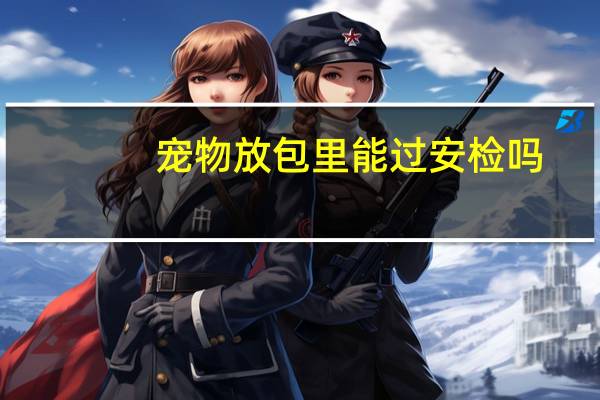 宠物放包里能过安检吗