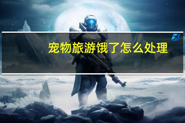 宠物旅游饿了怎么处理