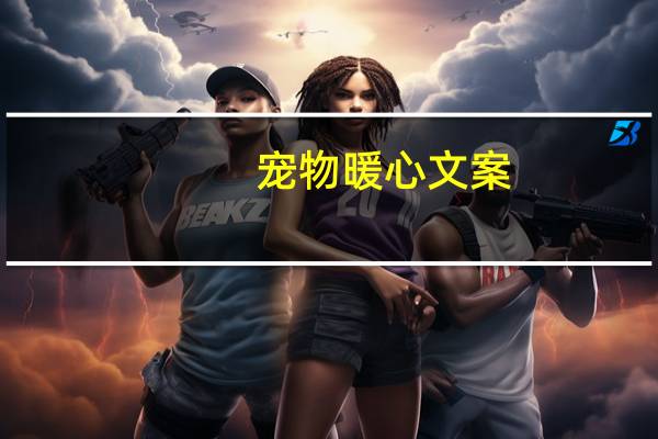 宠物暖心文案