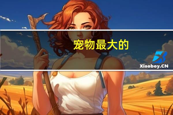 宠物最大的