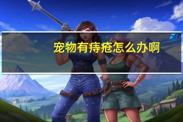 宠物有痔疮怎么办啊