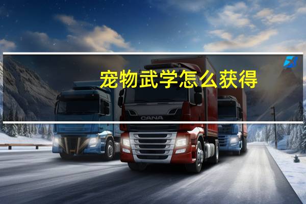 宠物武学怎么获得