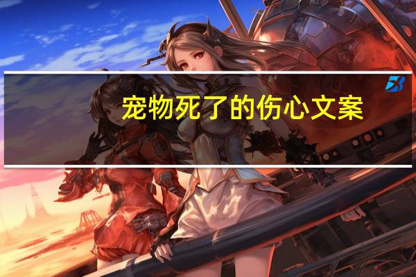 宠物死了的伤心文案
