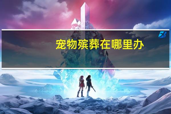 宠物殡葬在哪里办