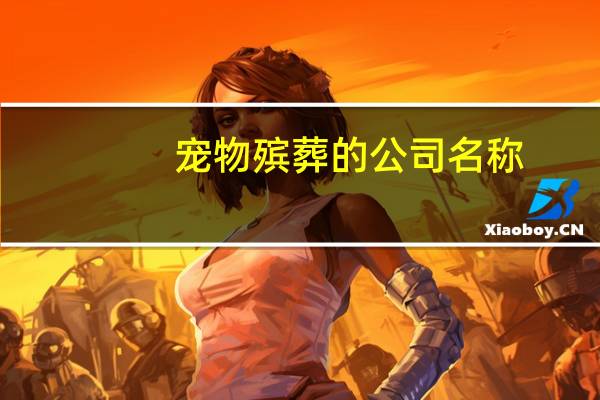 宠物殡葬的公司名称