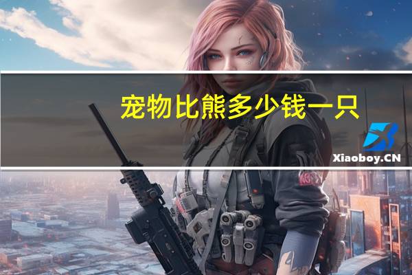 宠物比熊多少钱一只