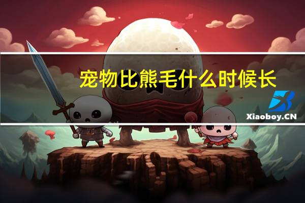 宠物比熊毛什么时候长