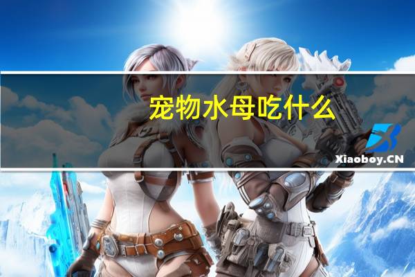 宠物水母吃什么