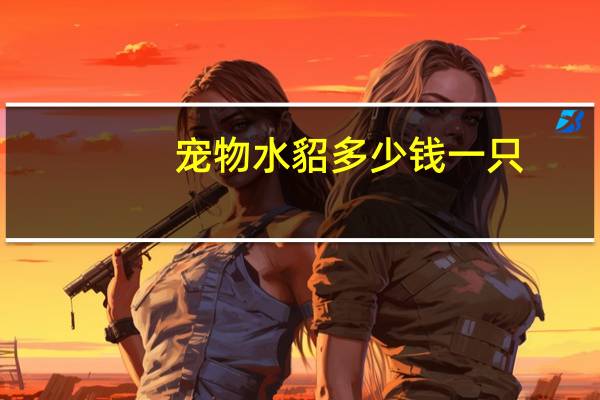 宠物水貂多少钱一只