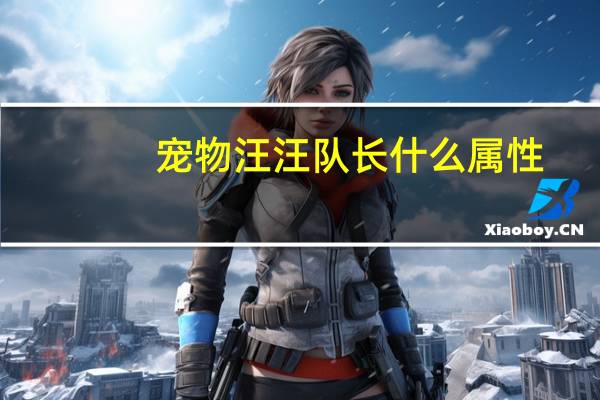 宠物汪汪队长什么属性