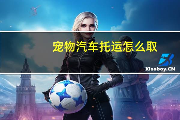 宠物汽车托运怎么取