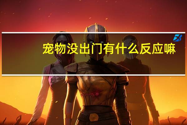 宠物没出门有什么反应嘛