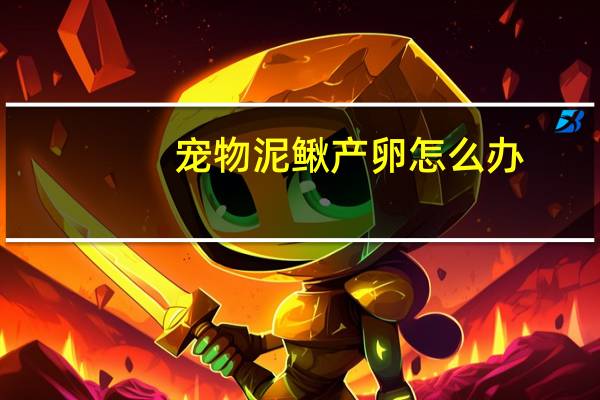 宠物泥鳅产卵怎么办