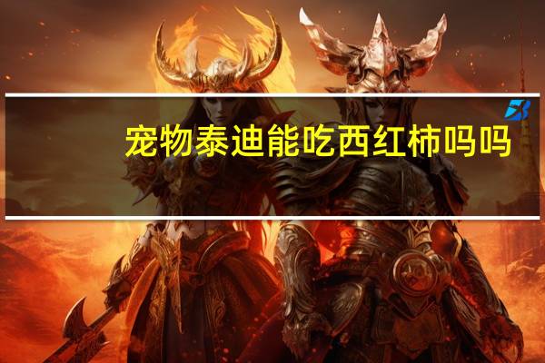 宠物泰迪能吃西红柿吗吗