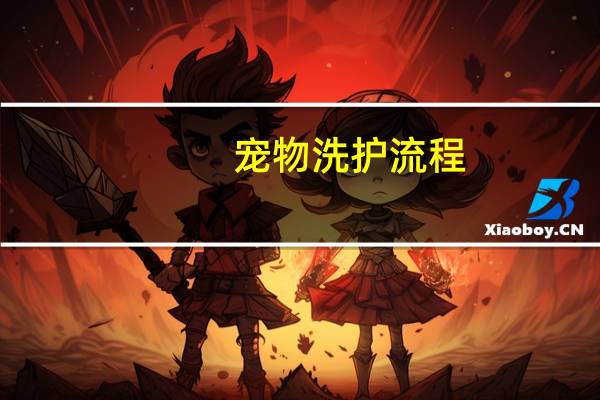 宠物洗护流程