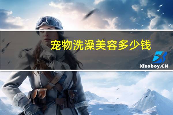 宠物洗澡美容多少钱