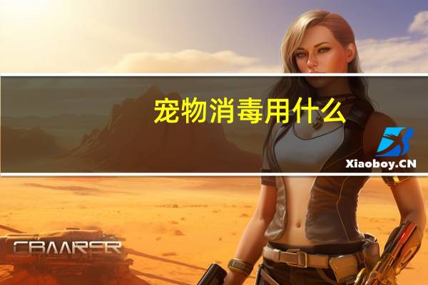 宠物消毒用什么