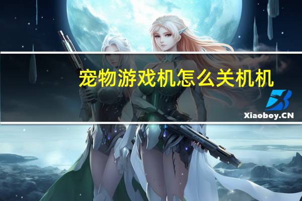 宠物游戏机怎么关机机