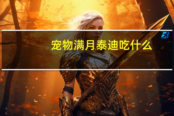 宠物满月泰迪吃什么